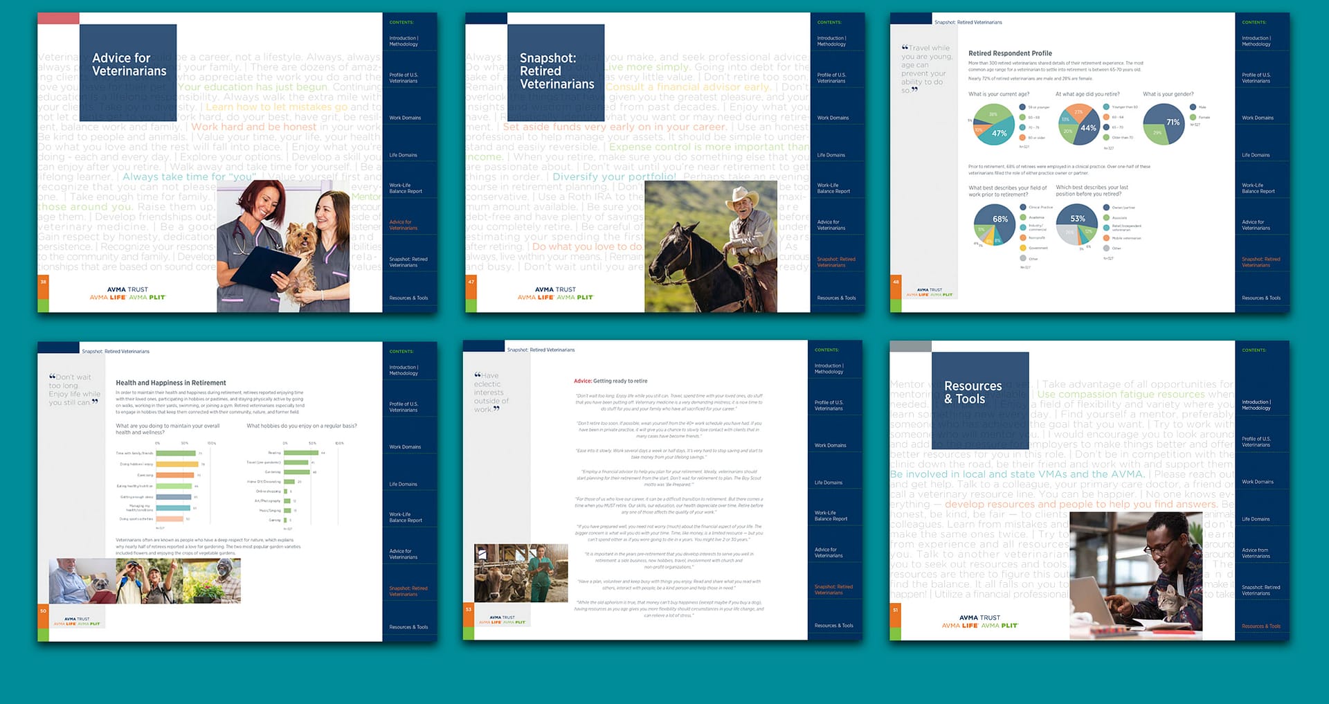 avma_report-pages_3
